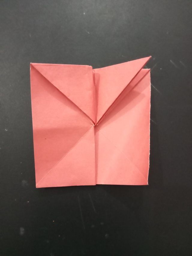 1000027662.jpg