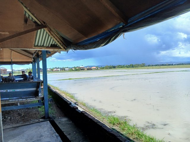 20250429_140143.jpg