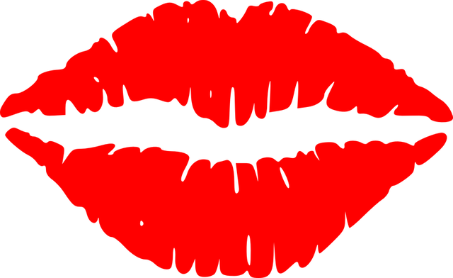 lips-145758__480.png