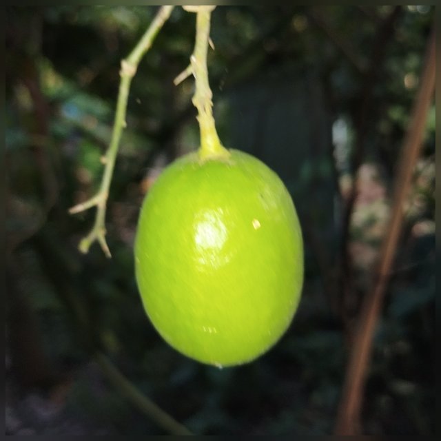 1000027199.jpg
