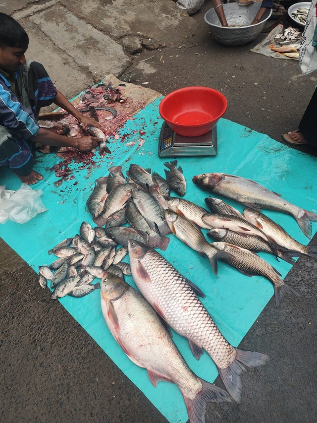  2025-03-24 at 7.48.29 PM.jpeg