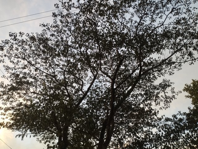 IMG_20250530_184409.jpg