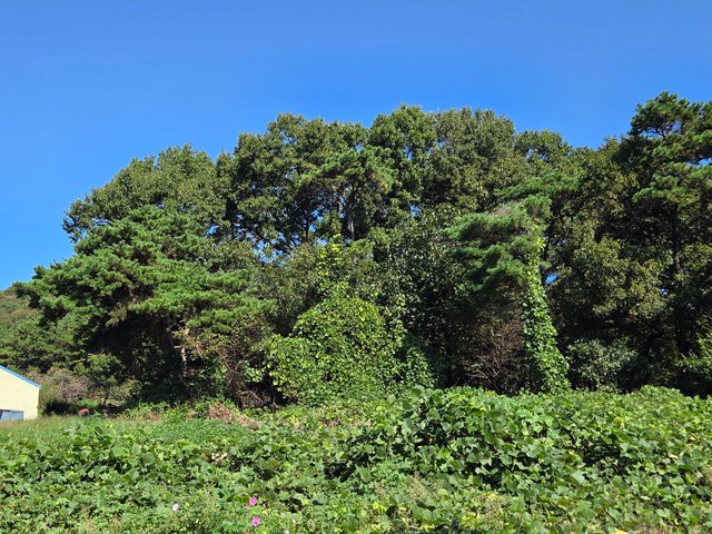 20251008_110541.jpg