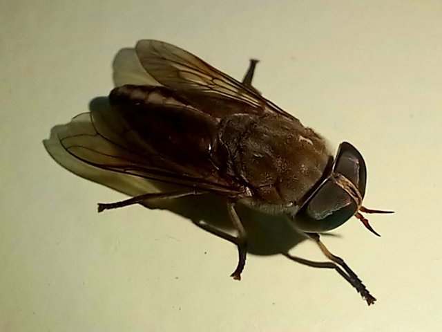 20241017_152746.jpg