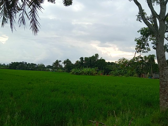 IMG_20250830_215206.jpg