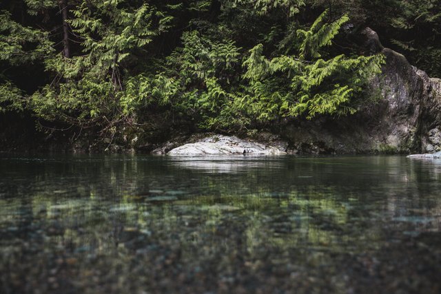 clear-water-rocks_4460x4460.jpg