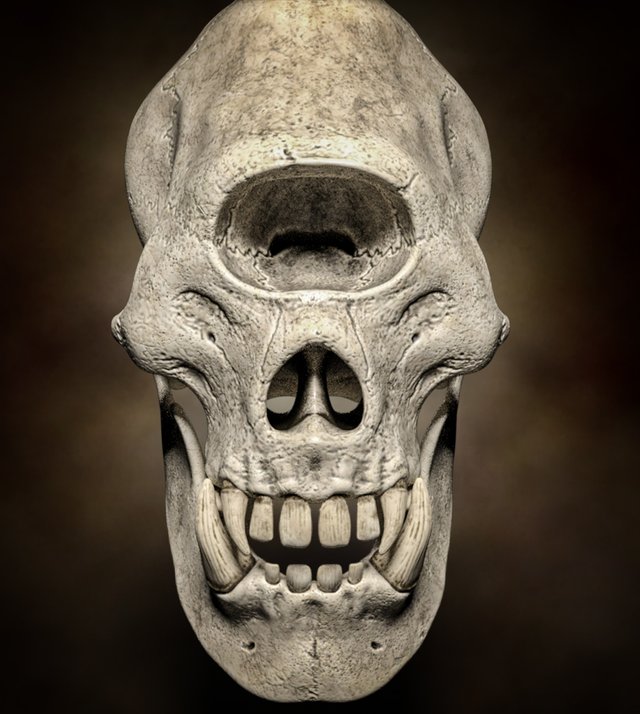 cyclop skull6 retouch.jpg