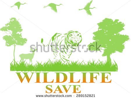 stock-vector-wildlife-save-concept-illustration-greeen-forest-trees-tiger-birds-isolated-on-white-289152821.jpg