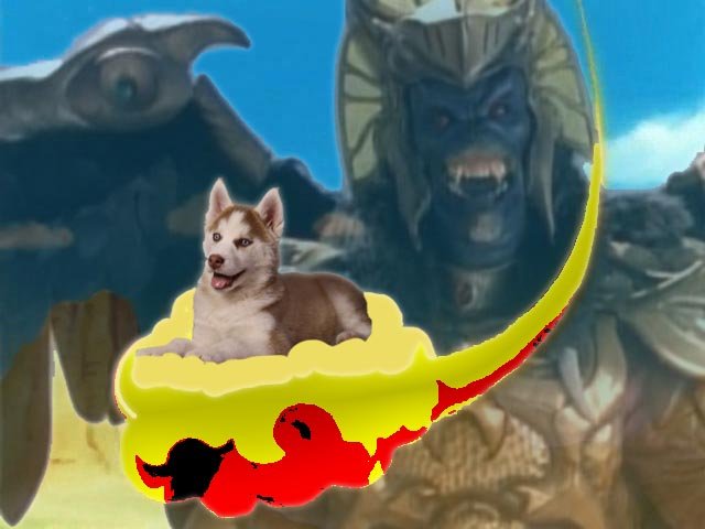 Puppy time go.jpg