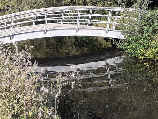 20250928_160155.jpg