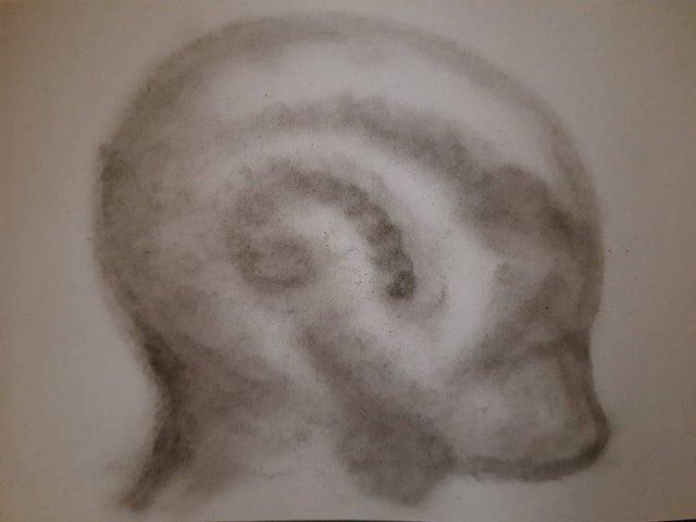20251005_094121.jpg