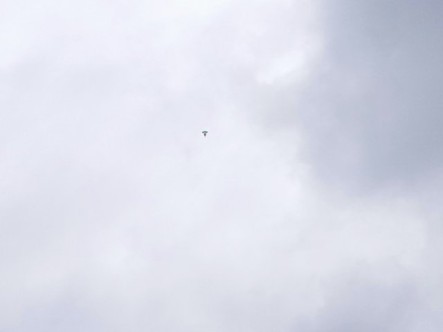 IMG20250807143339.jpg