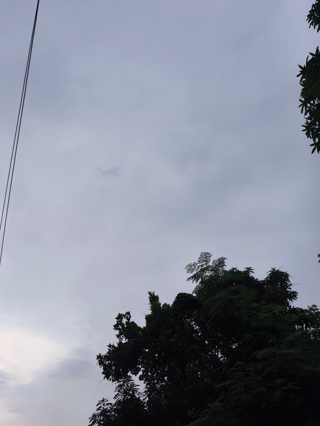 IMG_20250504_065812.jpg