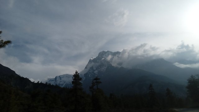 20250503_164222.jpg