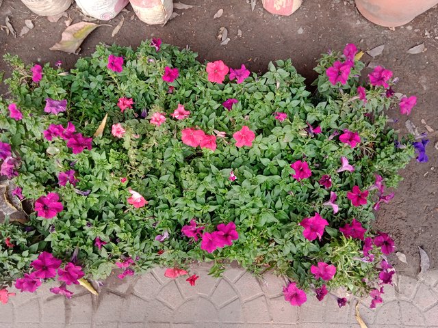 IMG_20250311_163434_1.jpg