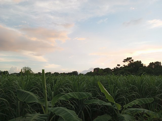 IMG_20250816_182918_766.jpg