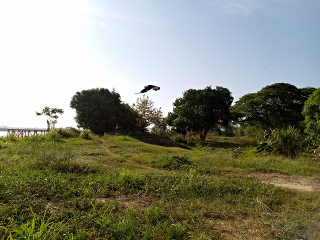 IMG_20250417_080846_452.jpg