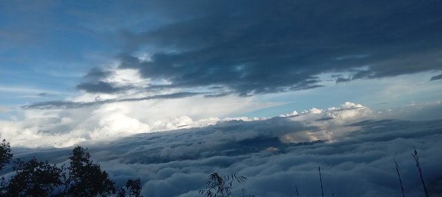 20250910_171509.jpg