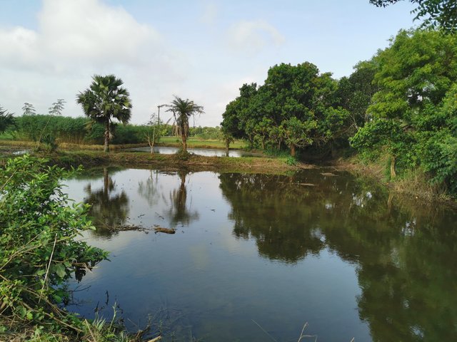 IMG_20240928_081722.jpg