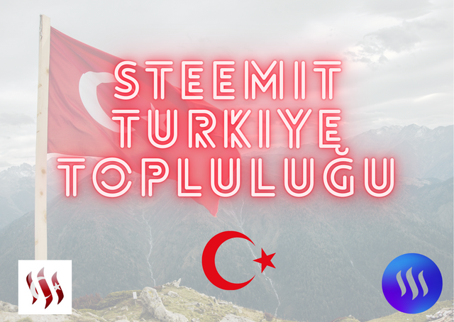 Steemıt turkiye topluluğu (1).png