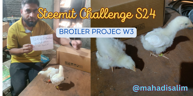 Steemit Challenge S24 w3.png