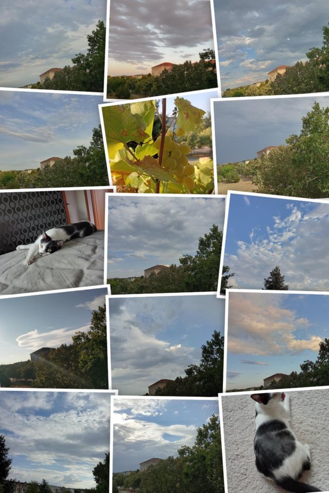 Messenger_creation_9E7A969D-6FC8-41FD-AD9F-BDCC6E312F88.jpeg