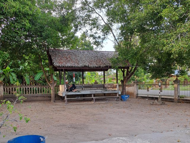 20250419_175456.jpg