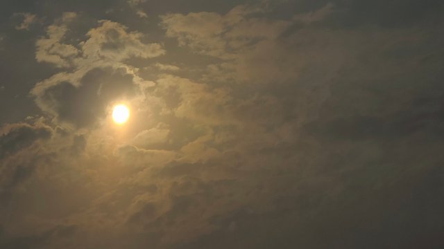 20250827_161004.jpg