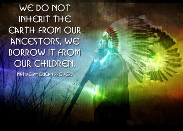 c95733188d8352679857cbbe0570901b--native-american-spirituality-native-american-proverb.jpg