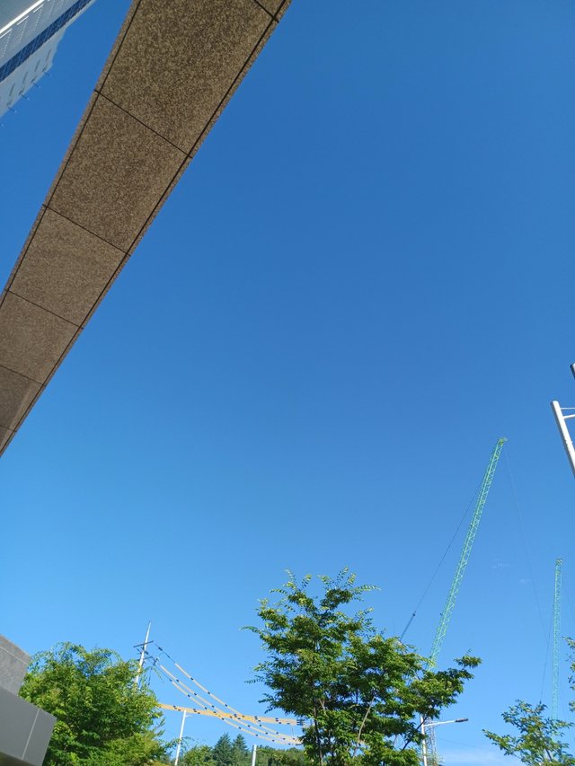 1751718092461.jpg