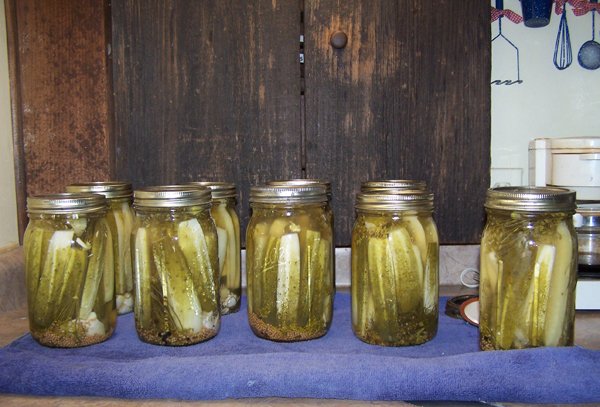 Dill pickles - finished crop Aug. 2018.jpg