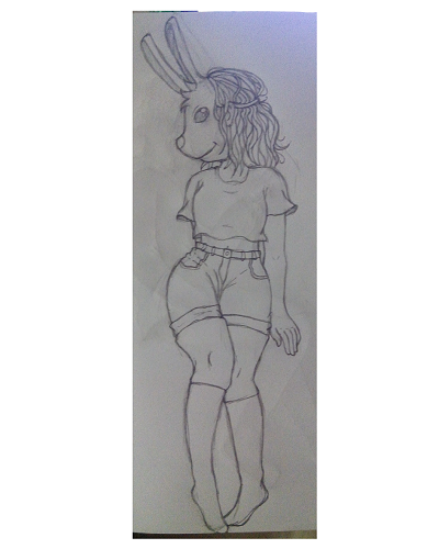 bunnyboceto.png