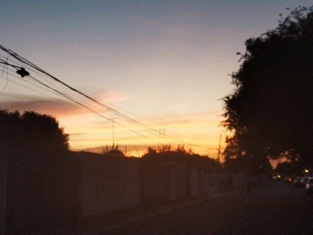 IMG_20211102_180600.jpg