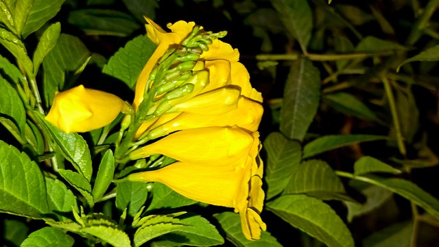 20250214_031302.jpg