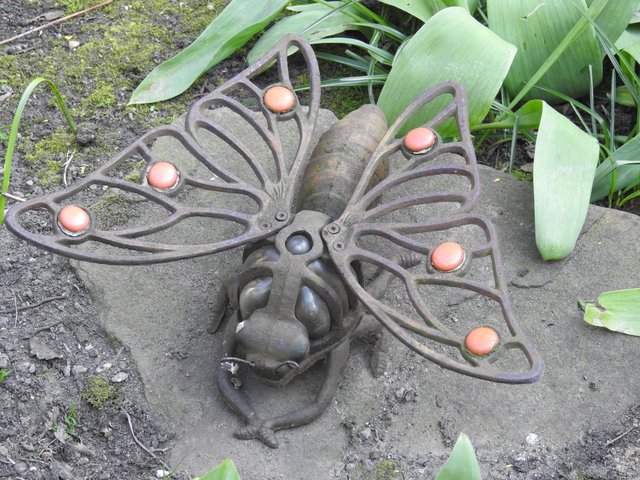 DSCN1240.JPG