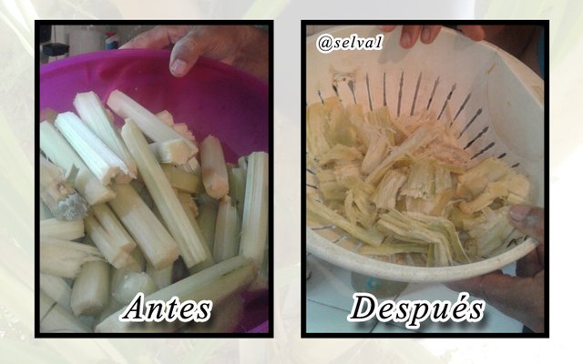 ANTES Y DESPUES.jpg