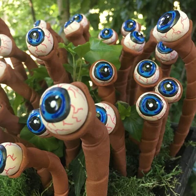 Halloween Eyeball Plant (8).JPG