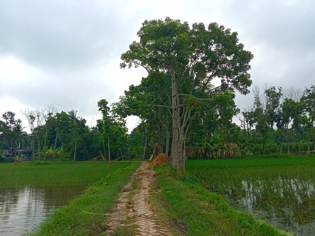IMG_20250808_201249.jpg