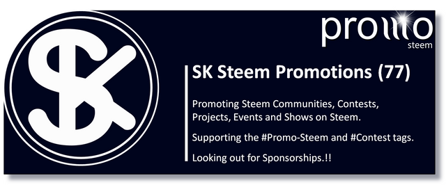 Steemit Steem Blog.jpg