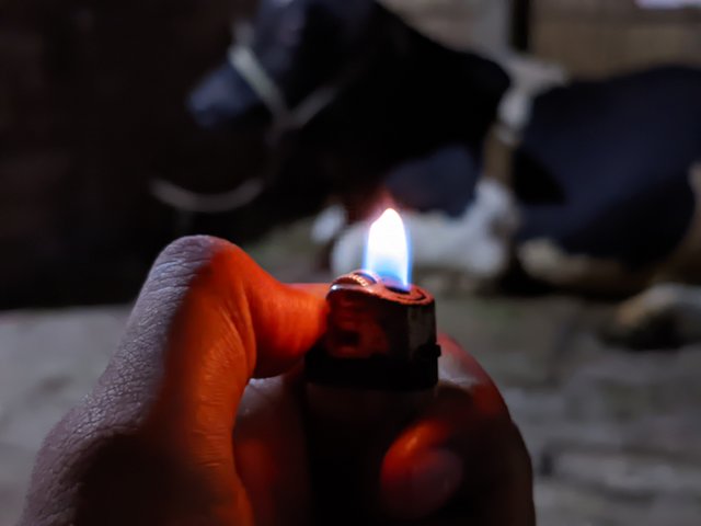 1000040677.jpg