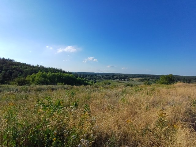 20250802_181652.jpg