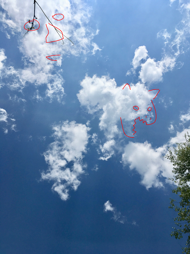 womananimalclouds.png