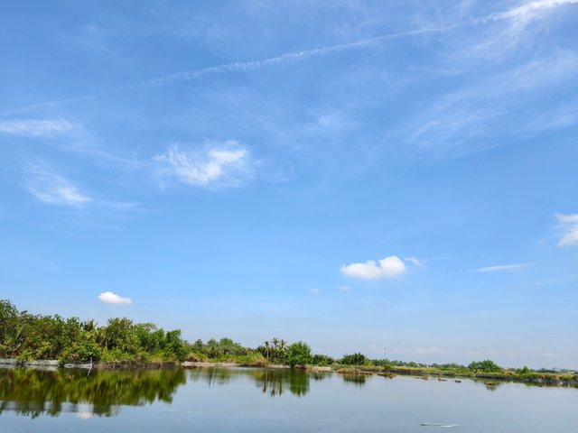 IMG_20250503_052318.jpg