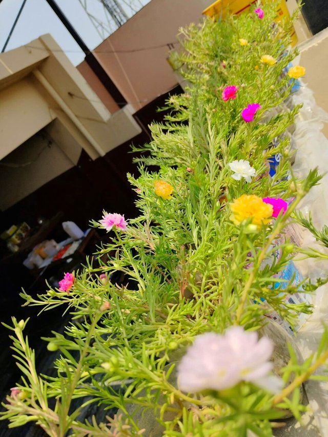 IMG_20250709_215853.jpg