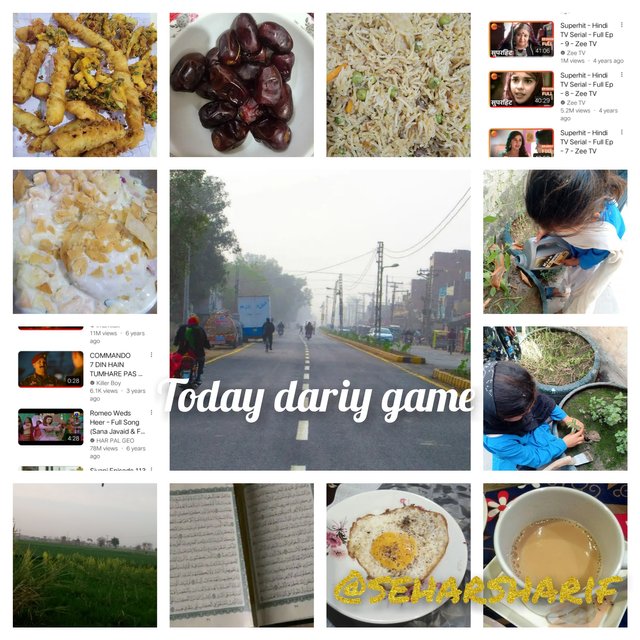 InCollage_20250322_235304888.jpg