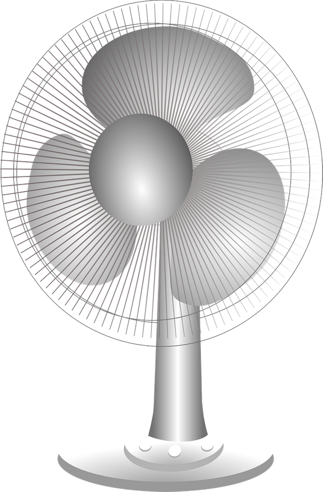 fan-309553_1280.png