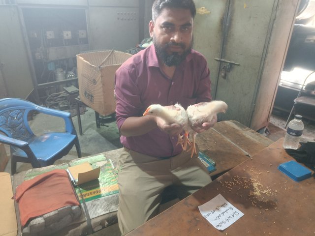 IMG20250518121951.jpg