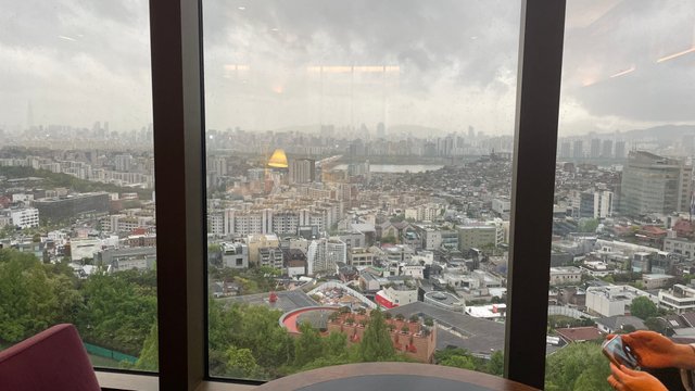 IMG_7013.jpeg