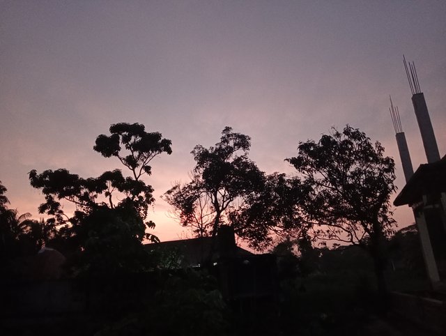 IMG20250514184458.jpg