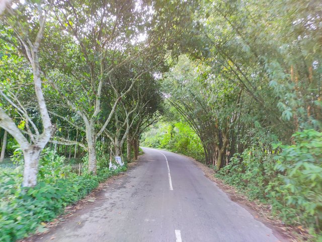 IMG_20250719_170658.jpg